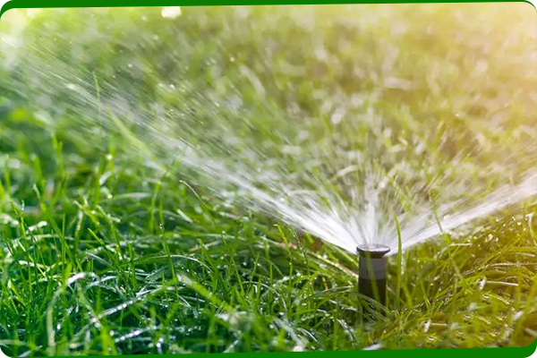 Injap pemutus pelaburan keluli karbon